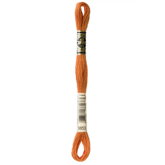 3853 Dark Autumn Gold DMC Floss - Default