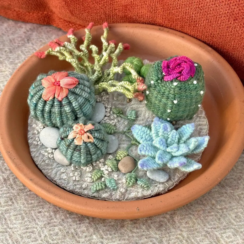 Succulent Garden Kit