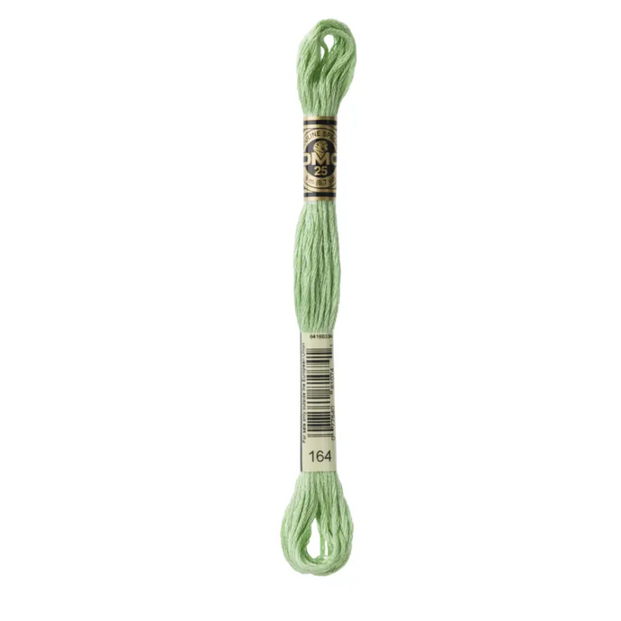 164 Light Forest Green DMC Floss - Default