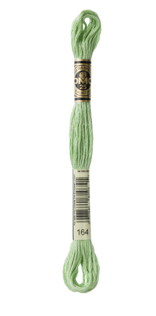 164 Light Forest Green DMC Floss - Default