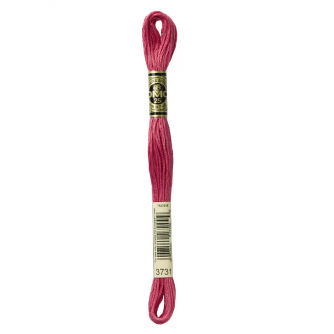 3731 Very Dark Dusty Rose DMC Floss - Default