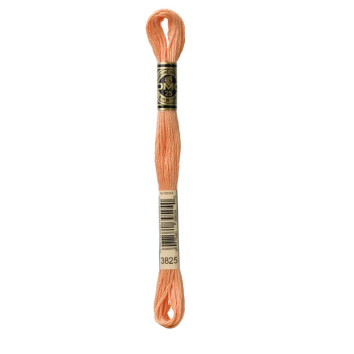 3825 Pale Pumpkin DMC Floss - Default