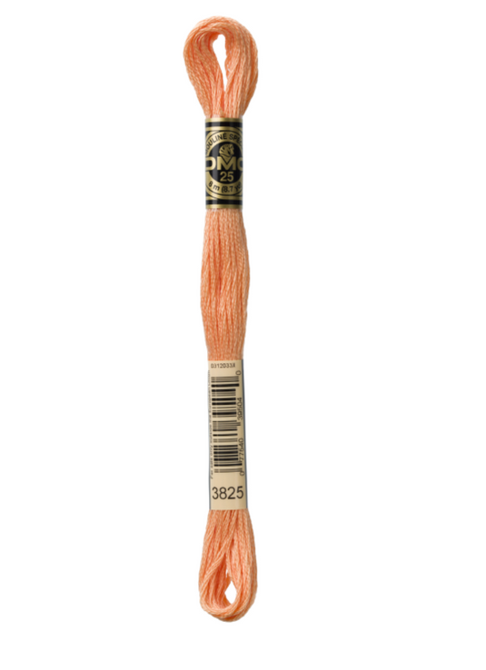 3825 Pale Pumpkin DMC Floss - Default