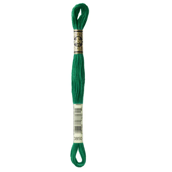 3850 Dark Bright Green DMC Floss - Default