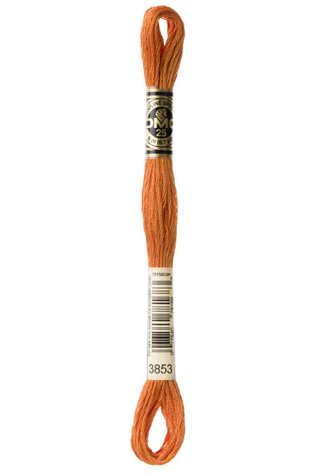 3853 Dark Autumn Gold DMC Floss - Default