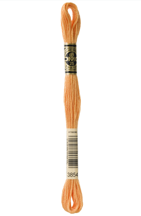 3854 Medium Autumn Gold DMC Floss - Default