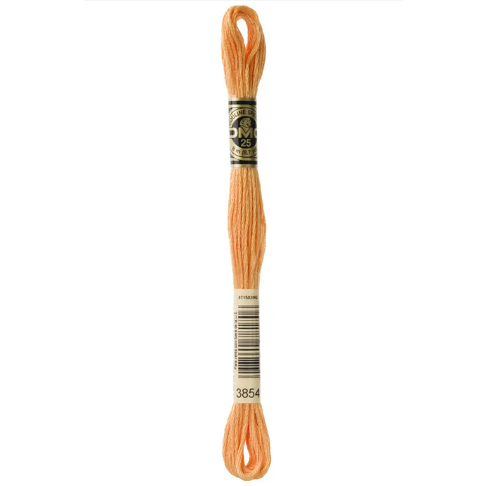 3854 Medium Autumn Gold DMC Floss - Default
