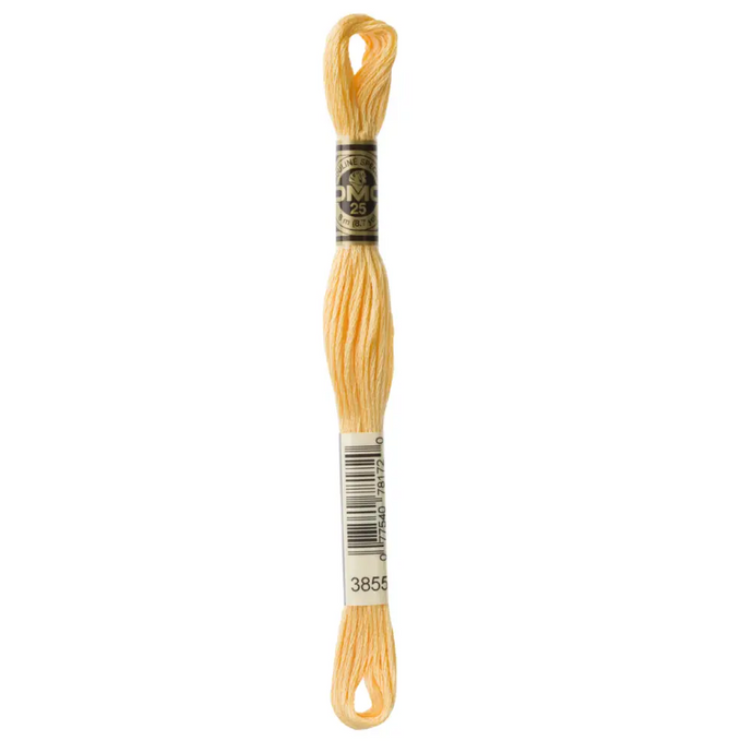 3855 Light Autumn Gold DMC Floss - Default