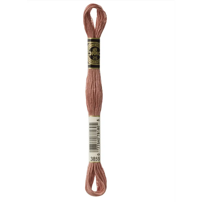 3859 Light Rosewood DMC Floss - Default