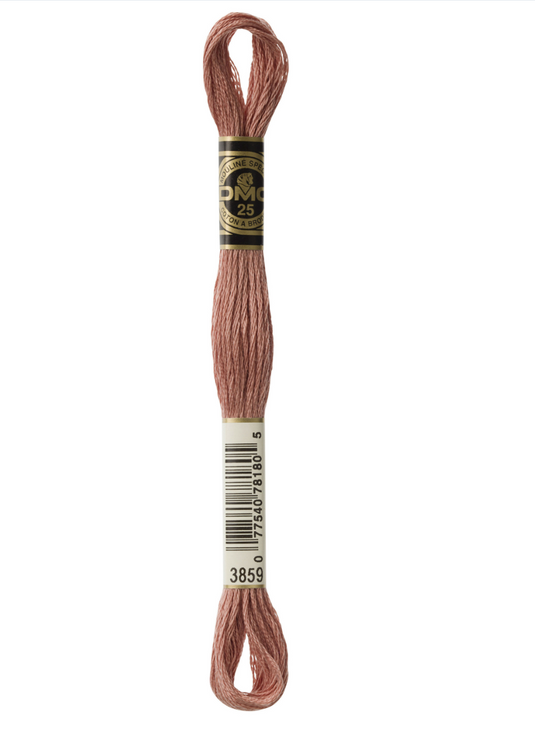 3859 Light Rosewood DMC Floss - Default