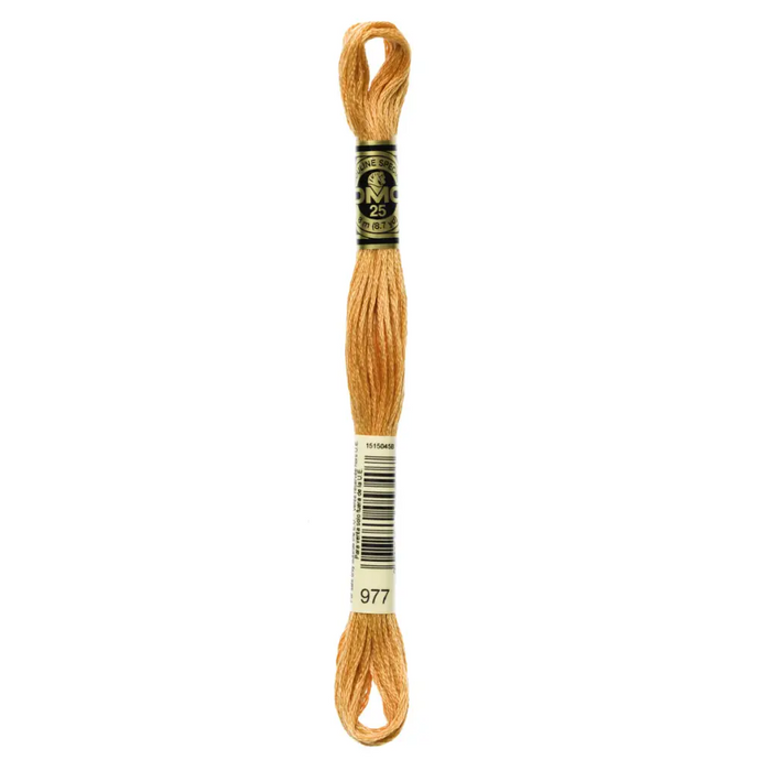977 Light Golden Brown DMC Floss - Default