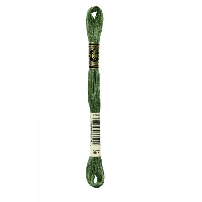 987 Dark Forest Green DMC Floss - Default