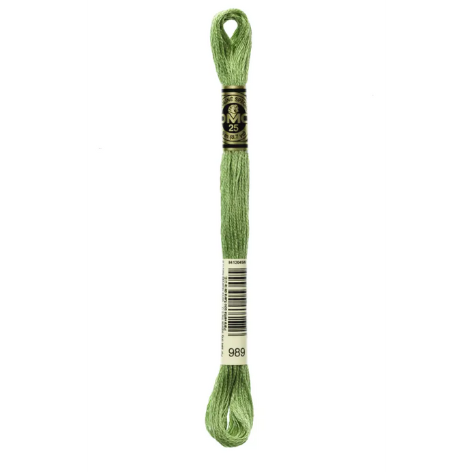 989 Forest Green DMC Floss - Default