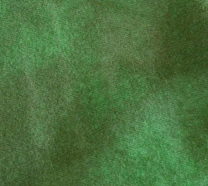 Alligator - Default