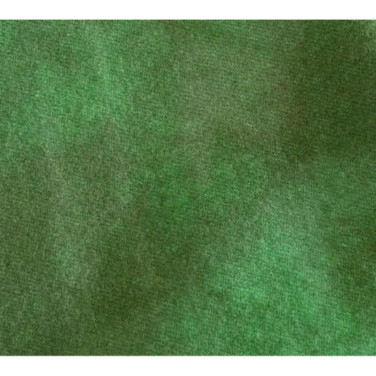 Alligator - Default