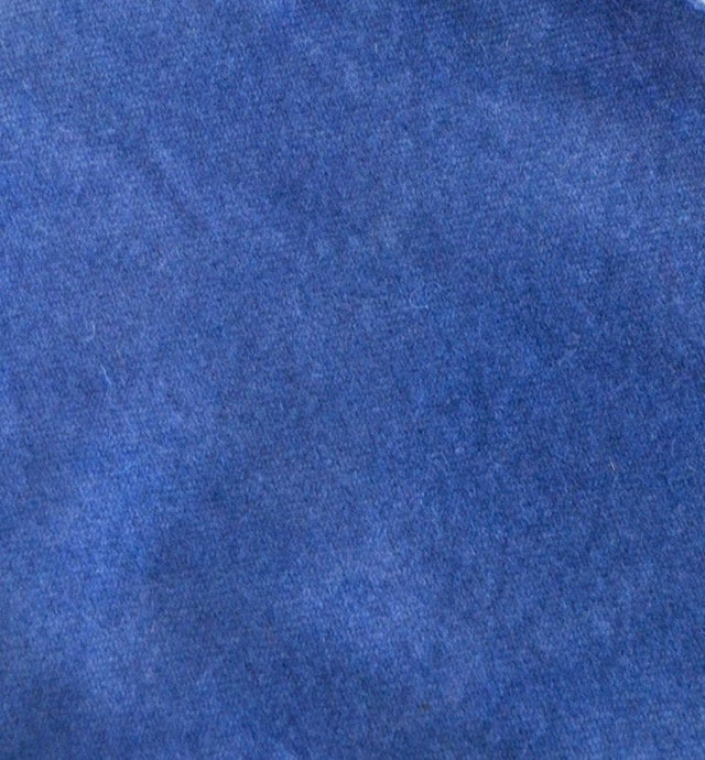 Blueberry - Default