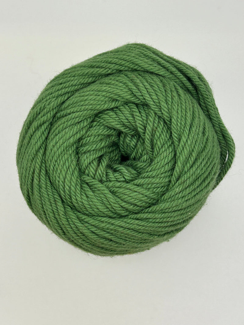 Load image into Gallery viewer, Dishie Worsted 100 gm Yarn - Jalapeno - 25785 - Default
