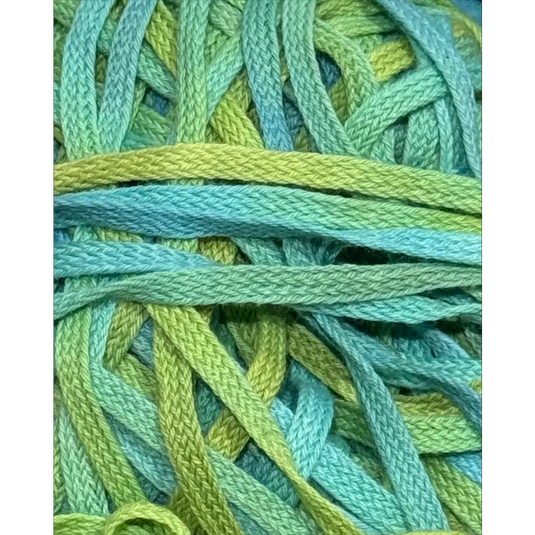 Flat Braid - Fresh Splash