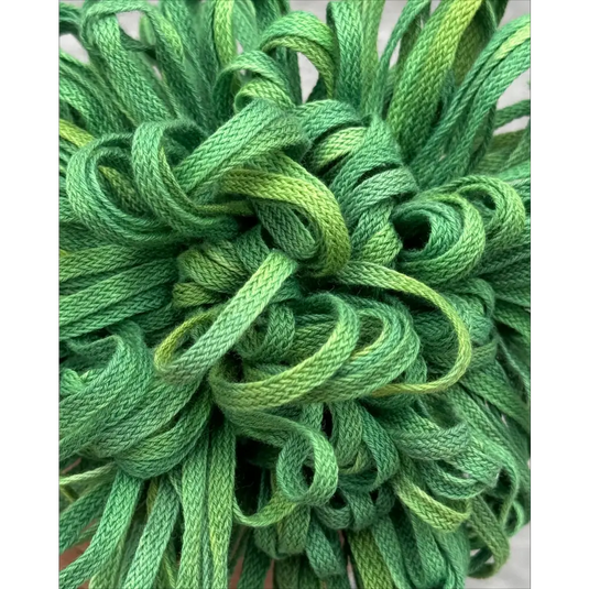 Flat Braid - Parrot