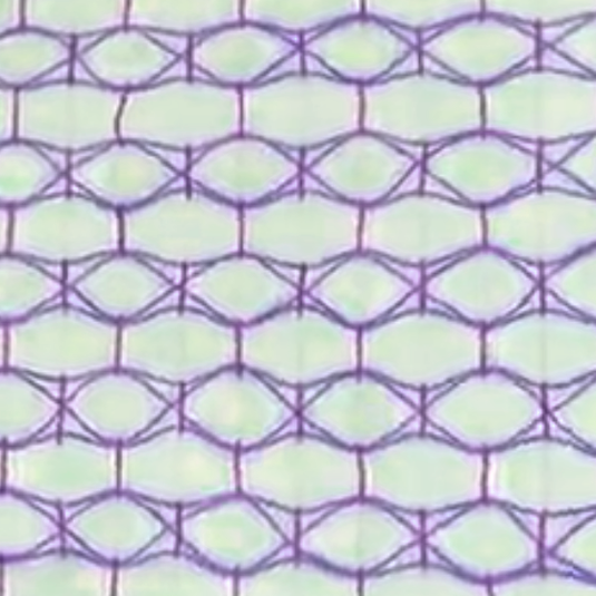 Stitches Templates - Regular - Default